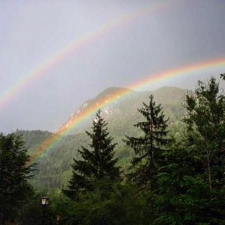 Camping Und Chalet Saggraben Палфау Екстериор снимка