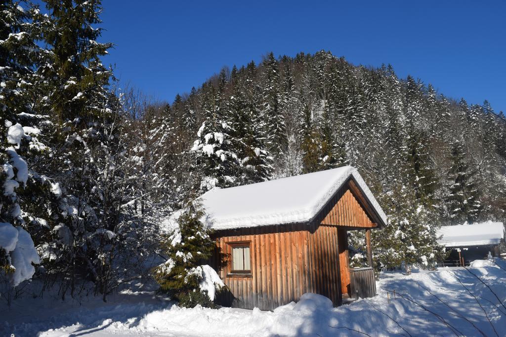 Camping Und Chalet Saggraben Палфау Екстериор снимка